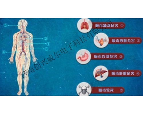4D吸毒危害演示互动